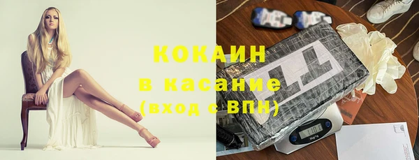 ГАЛЛЮЦИНОГЕННЫЕ ГРИБЫ Арсеньев