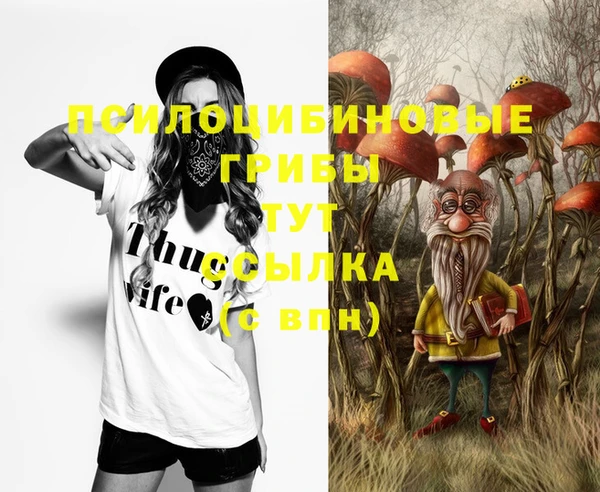 ГАЛЛЮЦИНОГЕННЫЕ ГРИБЫ Арсеньев