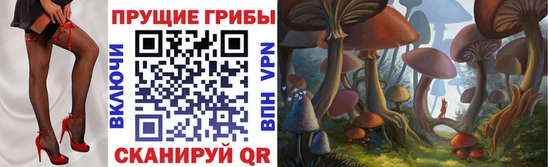 Псилоцибиновые грибы Cubensis  ОМГ ОМГ ссылки  Меленки 